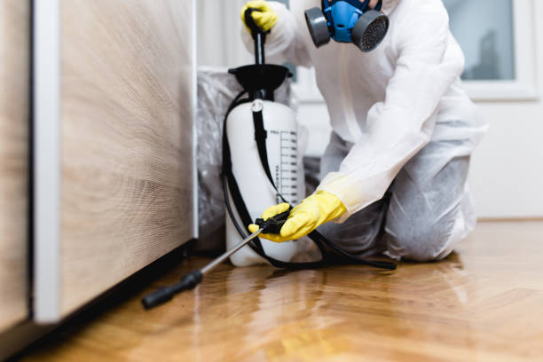 Best Affordable Pest Control Services  in Newberry, FL
