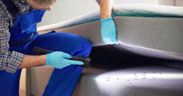 Best Pest Removal Services  in Newberry, FL