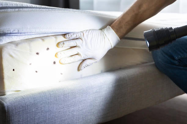 Best Affordable Pest Control Services  in Newberry, FL