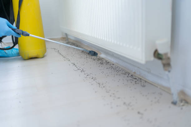 Best Wasp Removal Services  in Newberry, FL