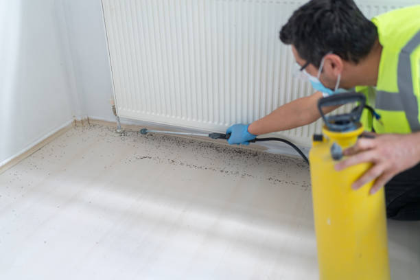 Best Bed Bug Extermination  in Newberry, FL