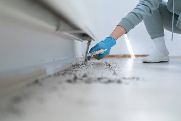 Best Emergency Pest Control  in Newberry, FL
